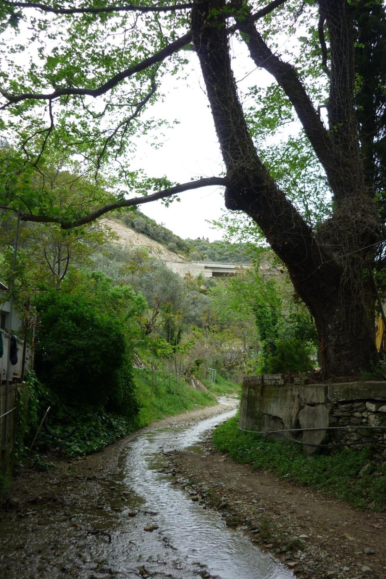 Pagona Hotel Loutra Edipsou  Buitenkant foto